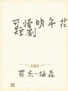 可惜明年花更好 短剧