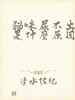 猫咪尿不出来尿是什么原因封面