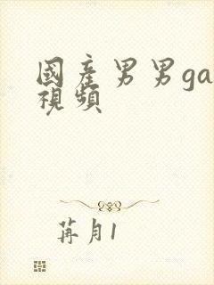 国产男男gay视频