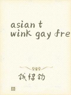 asian twink gay free封面