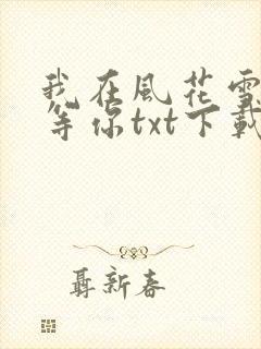 我在风花雪夜里等你txt下载