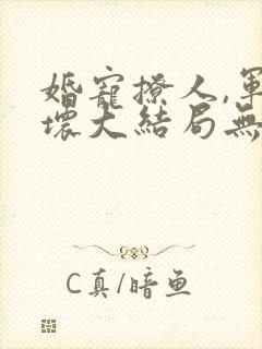 婚宠撩人,军长坏大结局无弹窗