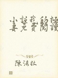 小说我的极品娇妻免费阅读