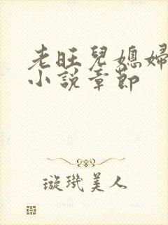 老旺儿媳妇秦雨小说章节