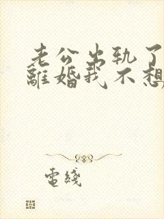 老公出轨了他想离婚我不想离怎么办封面