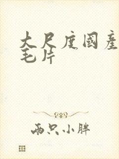 大尺度国产精品毛片封面