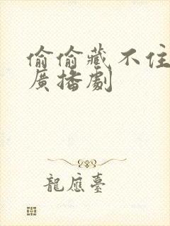 偷偷藏不住全集广播剧