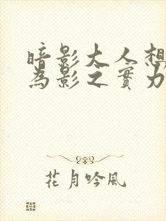 暗影大人想要成为影之实力者在线