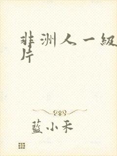 非洲人一级黄色片