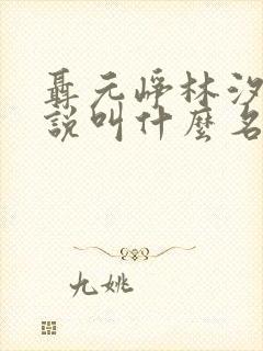 聂元峥林汐汐小说叫什么名字