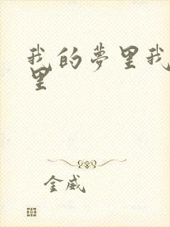 我的梦里我的心里封面