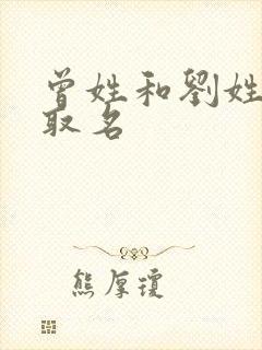 曾姓和刘姓组合取名