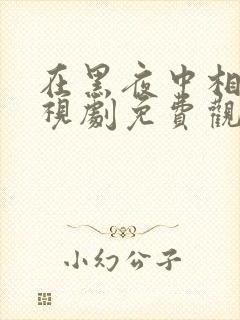 在黑夜中相拥电视剧免费观看
