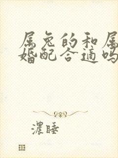 属兔的和属龙的婚配合适吗