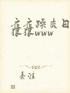 夜夜躁爽日日躁狠狠www