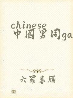 chinese中国男同gay