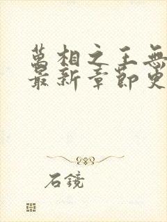 万相之王无弹窗最新章节更新封面