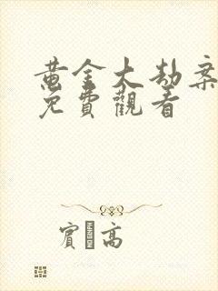 黄金大劫案高清免费观看