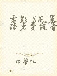 电影《风暴》国语免费观看