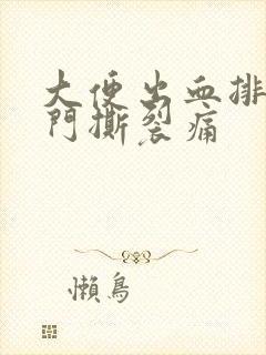 大便出血排便肛门撕裂痛