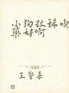 小狗拉稀吃什么药好啊