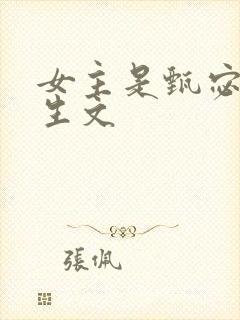 女主是甄宓的重生文