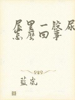 屋里一股尿骚味怎么回事