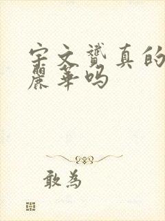 宇文赟真的爱杨丽华吗