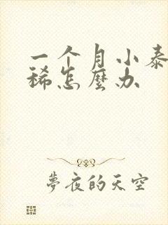 一个月小泰迪拉稀怎么办