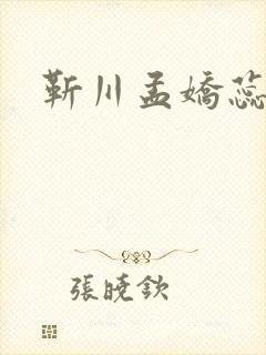 靳川孟娇蕊小说封面