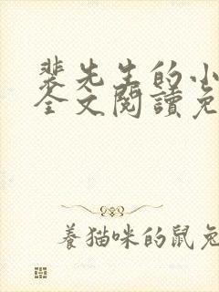 裴先生的小甜妻全文阅读免费