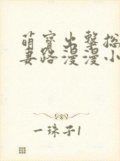 萌宝出击总裁追妻路漫漫小说封面