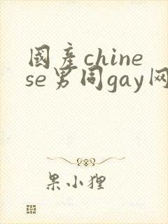 国产chinese男同gay网站