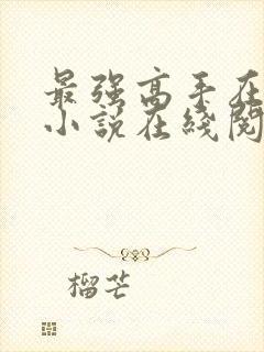 最强高手在都市小说在线阅读全文封面