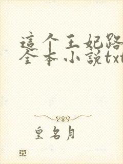 这个王妃路子野全本小说txt下载