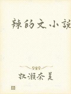 辣的文小说网