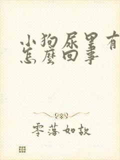 小狗尿里有血丝怎么回事