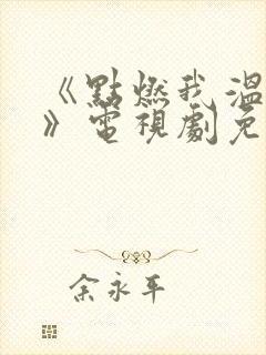 《点燃我温暖你》电视剧免费观看封面