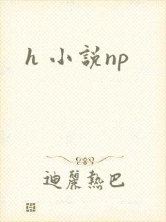 h 小说np