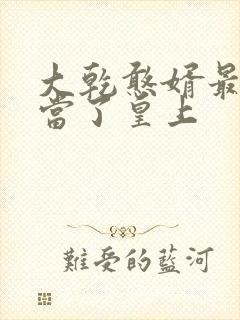 大乾憨婿最后谁当了皇上