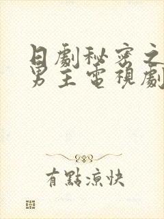 日剧秘密之吻双男主电视剧在线观看