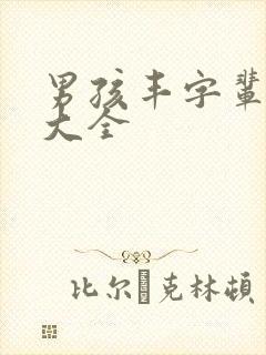 男孩丰字辈取名大全