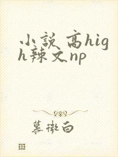 小说 高high辣文np