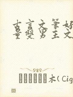 古言文笔好高质量双男主文