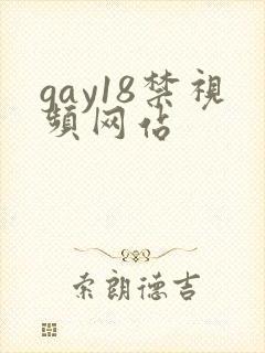 gay18禁视频网站