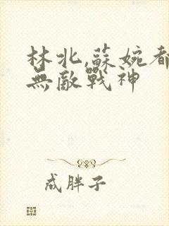 林北,苏婉都市无敌战神封面