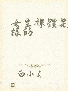 女生裸体是什么样的