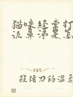 猫咪经常打喷嚏流鼻涕是怎么回事封面