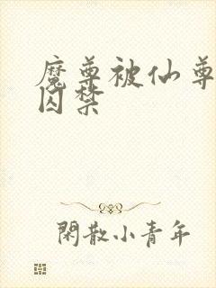 魔尊被仙尊抓了囚禁