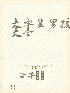 大字辈男孩取名大全